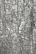 Cracked by Tim Holtz - 3-D Texture Fades Embossing Folder