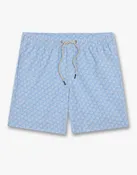 Bayberry Trunk-Sky Blue Shells