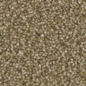 Microban® Polyester – Radiant Gold by Phenix Carpet
