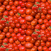 FARM TO TABLE TOMATOES-10466 Cotton