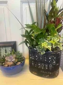 Planter — Jil's Flower Haus