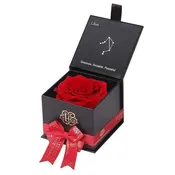 Astor Eternal Rose Gift Box - LIBRA