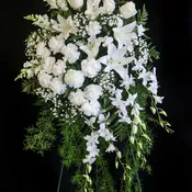 Flowing White Spray