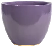 Athen's Pot - Wild Purple