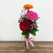 Sunshine & Gerberas Bright Colored Gerberas in a Vase