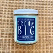 “Dream Big” Night Blooming Cactus Candle