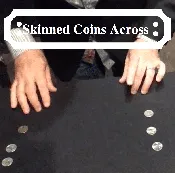Skinner Coins Across – 47 – DMC