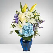Sweet Serene by BloomNation™