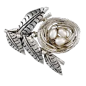 Nest Pin