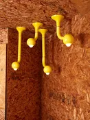 Ceiling Lamp