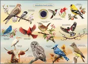 Highland Creek Puzzles Native Birds of South Carolina Jigsaw Puzzle