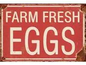 Farm Eggs Vintage Metal Sign