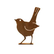 Baby Robin B715