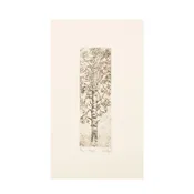 ‘Aspen’ Etching