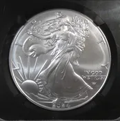 2024(P) Silver Eagle Star Privy NGC MS70 Black Holder Red Book Label AR144