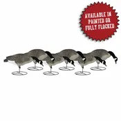 SIGNATURE SERIES FEEDER
