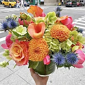Summertime Brights