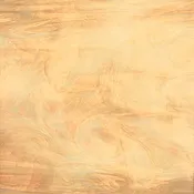 Spectrum Light Honey Translucent