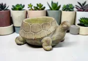 Cement Turtle Planter