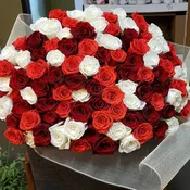 100 LONG STEM ECUADORIAN ROSES
