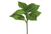 10″ Coleus Leaf Spray, Green