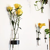 Minimal Wall Vase: Steel Ring