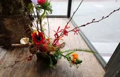 It’s All About Love — IXIA