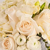 Designer's Choice - Whites