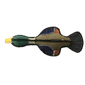 15" Nature Duck Animal Squeaky Toy