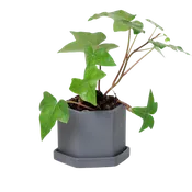 3.5" Handmade Ceramic Planter - Black