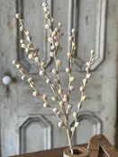 36" Shawl Buds