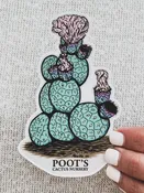 Poot's Tephrocactus Sticker — Poot's Cactus Nursery