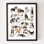 Beagle Print