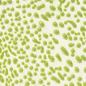 Amaco Crawls