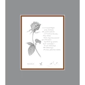 Gratitude