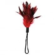 Feathers