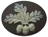 Acorn, Needle minder