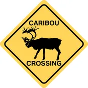 Caribou Crossing