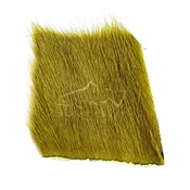 Calf Body Hair
