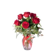 1/2 Dozen Lush Roses