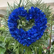 Blue Rose Heart