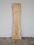 Cottonwood  C65