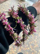 Flower crown