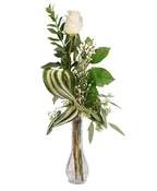 SINGLE IVORY BUD VASE