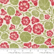 3323-11  Nasturtium Cream