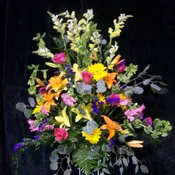 Sympathy Spray