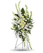 Magnificent Life Sympathy Spray (P109)