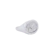 Aquarius Ring
