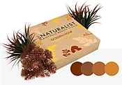 Golden Hour Artificial Plant Kit