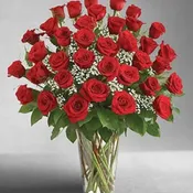 Ultimate Elegance Premium Long Stem Red Roses (36)